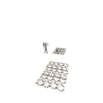 grass