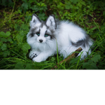 Foxes :/