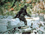 Bigfoot Researchers