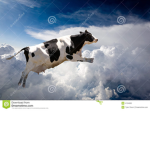 Airborne Cows
