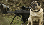 Pug Army of Robloxia