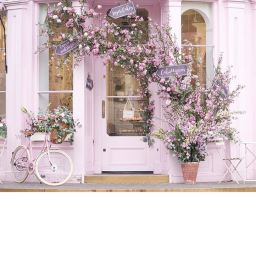 Lexi's aesthetic home store [NEW]