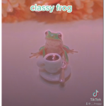 The classy frog group