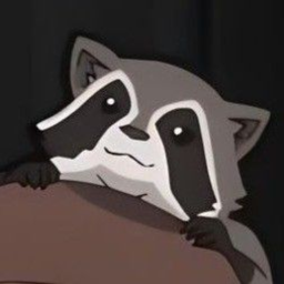𝓷 🦝