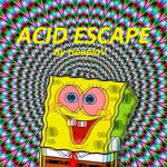 Acid FLOOD Simulator