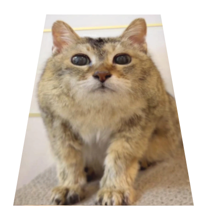 Mei Mei / Tole Tole Cape