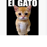 El gato guys