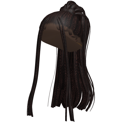 Braided Locs Ponytail (Brown) Roblox item
