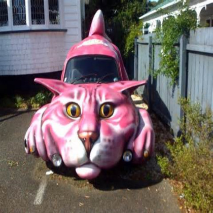 cat Roblox decal