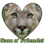 Sam n' Friends!