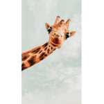 Giraffes SQUAD!!!