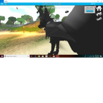 donation for a rat