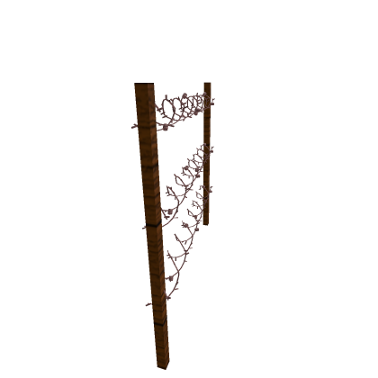 Barbed Wire