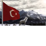 The Turkish Warriors