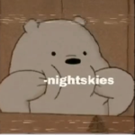 Nightsky_owls