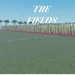 THE FIELDS OF RICE