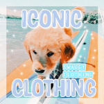 - iconic clothing -