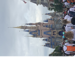 Disney_fan_group
