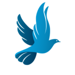 {FSA} | FlySwift Airways