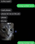 Random fan games i guess
