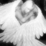 $.angelz
