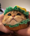 Kimmy's Community