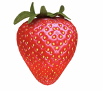 straw berry squad