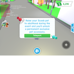 Sunny.roblox