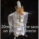 fans de dragonball super