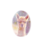 'Your local alpaca' fan group!!