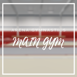 Arena Gymnastics | Main Gym