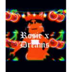 Rosie x dreams