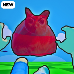 Don't Anger the cat 😡