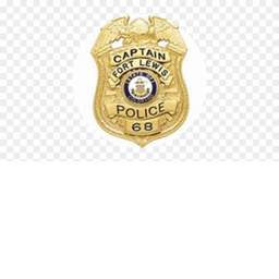 police vs criminals