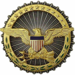 Rapid Response team USA