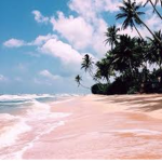 Beachy Aesthetics