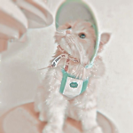 - aura’s boutique -