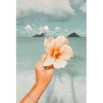 -Beachybaes apparel-