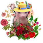 Florist Bingus
