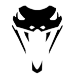 Diamondback Security Co.
