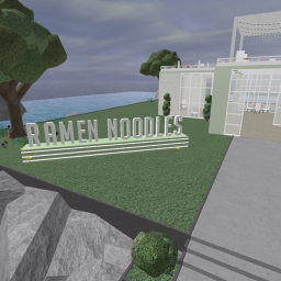 Ramen Noodles V1