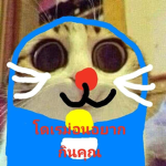 ขยะสังคม