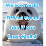 We Love Seals Group!