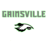 GAINSVILLE DUCKS (NEW VERSION)