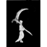 The Light Reapers knight
