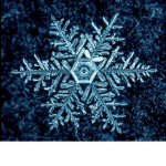The FrostGang