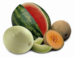 Helen Melon Club