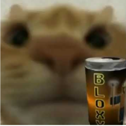 ALEXS CAT : THE GAME