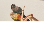 Pina_loki