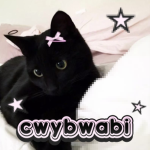 cwybwabi